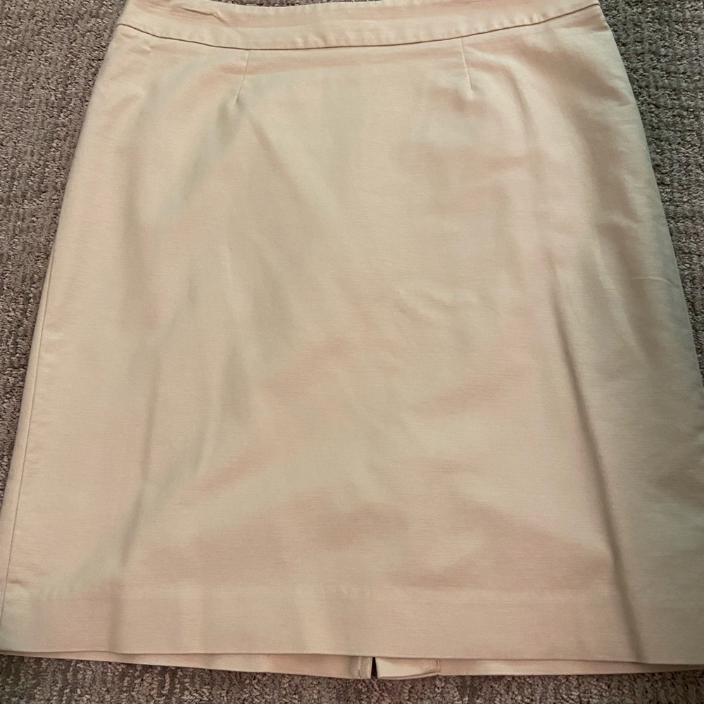 Coldwater Creek Skirt in 10P